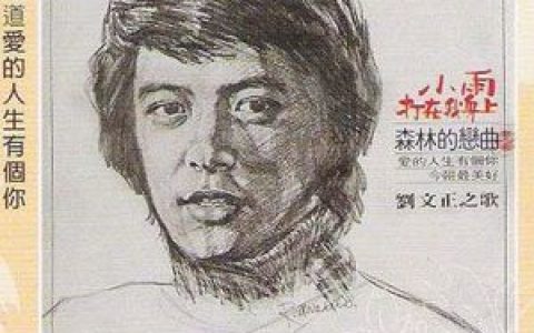 刘文正歌曲:小雨打在我身上歌词