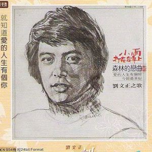 刘文正歌曲:小雨打在我身上歌词