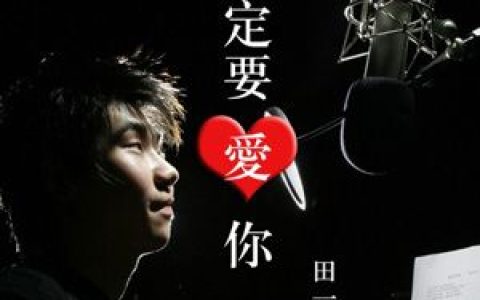 田一龙歌曲:一定要爱你歌词