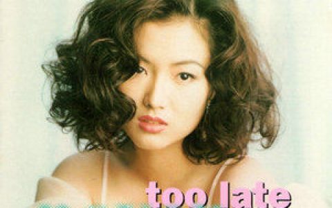 郑秀文歌曲:It s Too Late歌词