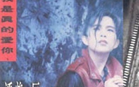 潘美辰歌曲:谁教我是真的爱你歌词