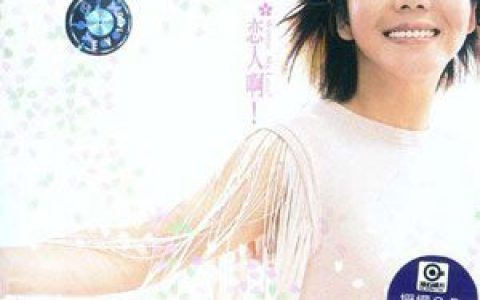 辛晓琪歌曲:曾经歌词
