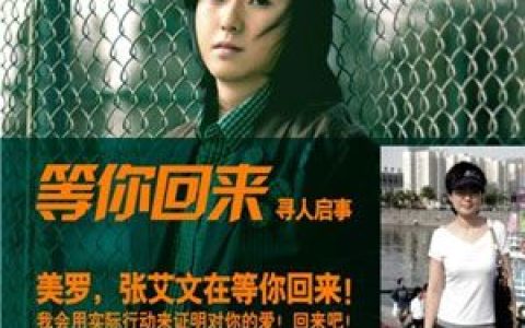 张艾文歌曲:等你回来歌词