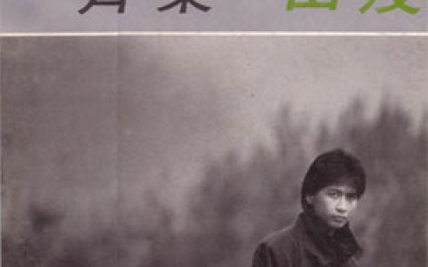 齐秦歌曲:让我孤独的时候还能够想着你歌词