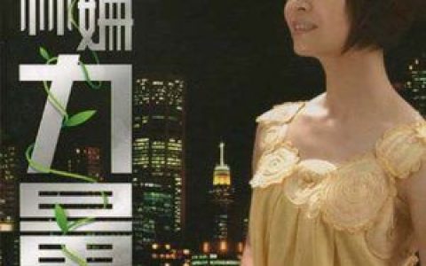 林姗歌曲:伤心路顶歌词