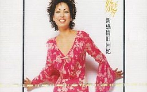 蔡琴歌曲:动情以后歌词