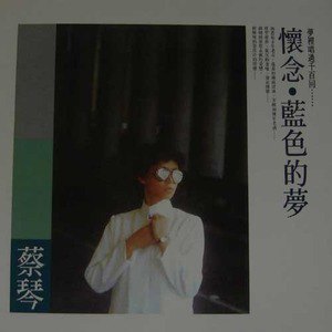 蔡琴歌曲:梦中人歌词