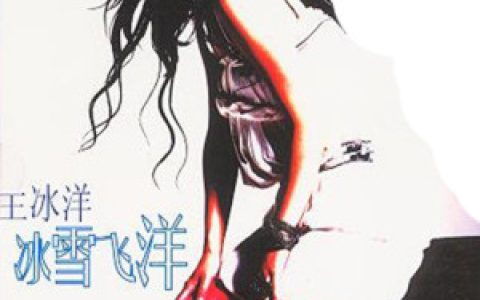 王冰洋歌曲:爱了痛了歌词