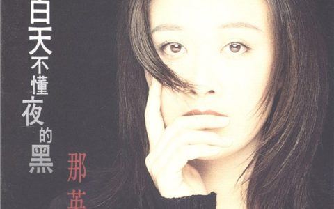 那英歌曲:白天不懂夜的黑歌词