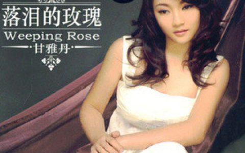 甘雅丹歌曲:落泪的玫瑰歌词