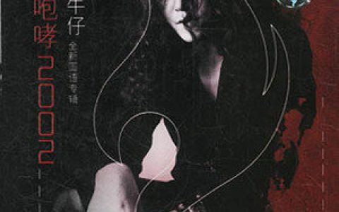 迪克牛仔歌曲:值得歌词