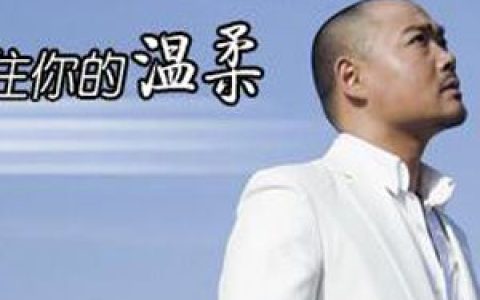 李泽坚歌曲:留不住你的温柔歌词
