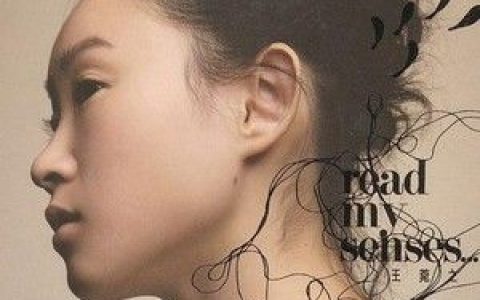 王菀之歌曲:面具歌词