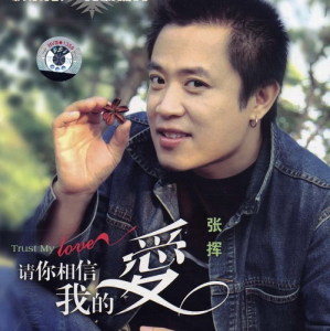 张挥歌曲:远方我的爱歌词