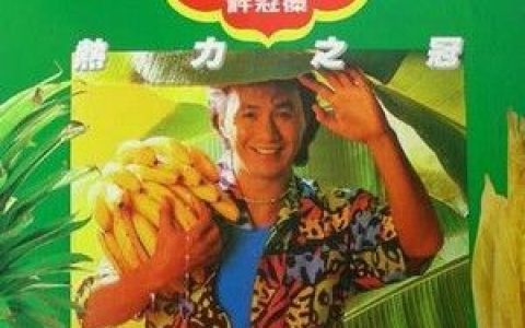 许冠杰歌曲:怀伤歌词