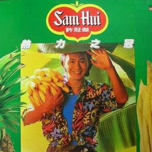 许冠杰歌曲:怀伤歌词