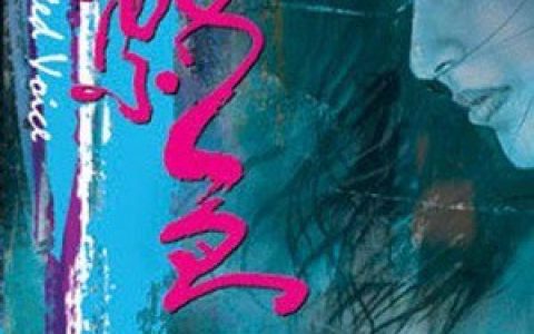 郑阳歌曲:驿动的心歌词