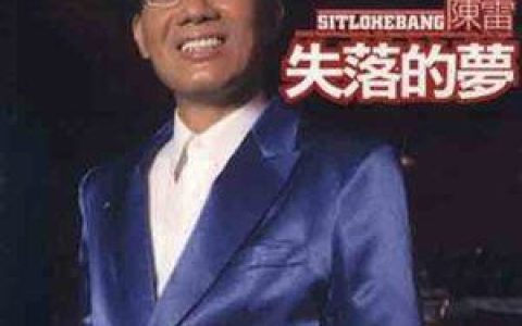陈雷歌曲:伤心的城市歌词
