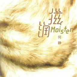 何静歌曲:不想不想歌词