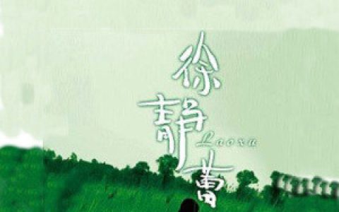 徐静蕾歌曲:梦想照进现实歌词