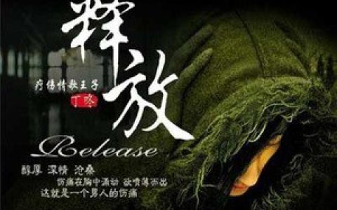 丁咚歌曲:北极星的眼泪歌词