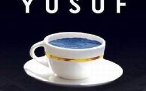 Yusuf歌曲:when butterflies leave歌词