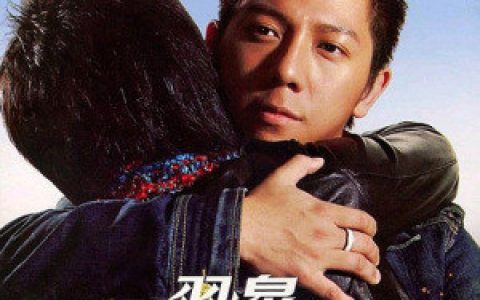 羽泉歌曲:不再爱歌词