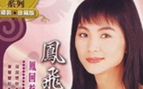 凤飞飞歌曲:掌声响起歌词