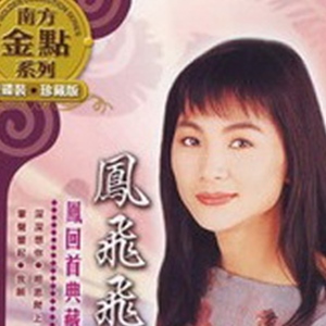 凤飞飞歌曲:你来了歌词