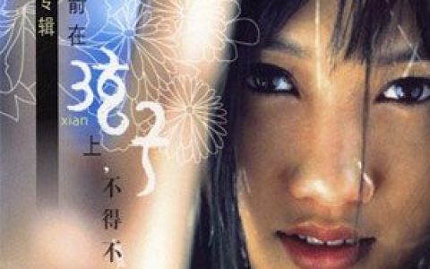 弦子歌曲:不得不爱歌词