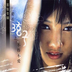 弦子歌曲:不得不爱歌词