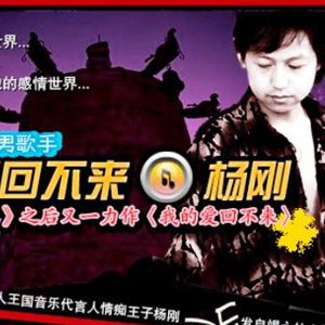 杨刚歌曲:我的爱回不来歌词