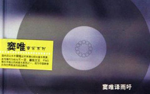 窦唯歌曲:雨吁歌词