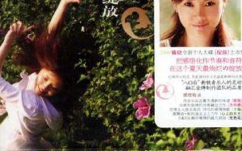 戴娆歌曲:我不爱你了歌词