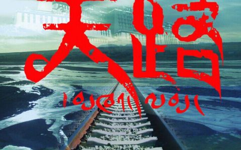韩红歌曲:我决定爱你歌词