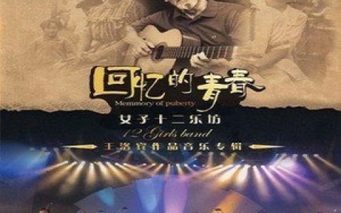 女子十二乐坊歌曲:花儿与少年歌词