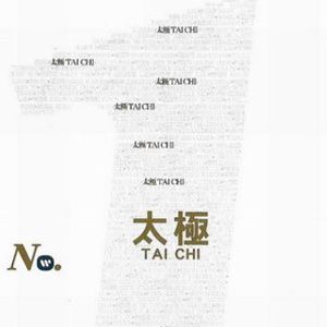 太极歌曲:作弄歌词