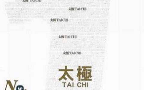 太极歌曲:留住我吧歌词