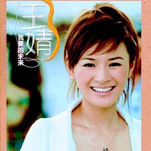 王婧歌曲:他歌词
