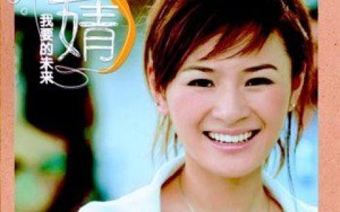 王婧歌曲:这一刻歌词