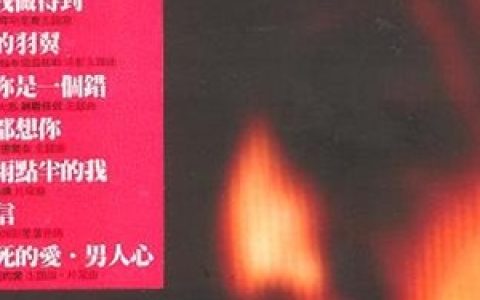 杨培安歌曲:爱上你是一个错歌词