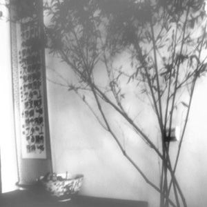 窦唯歌曲:过水桥歌词