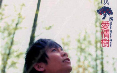 张智成歌曲:Because I Love You歌词