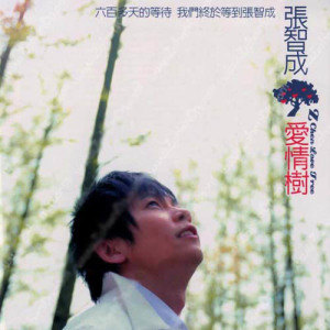 张智成歌曲:Because I Love You歌词