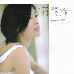 苏慧伦歌曲:爱了就懂了歌词