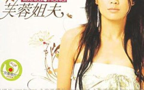 王蓉歌曲:水煮鱼歌词