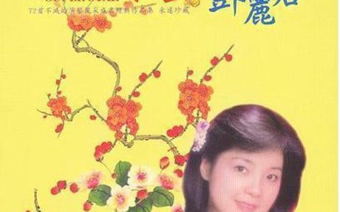 邓丽君歌曲:留不住你的心歌词