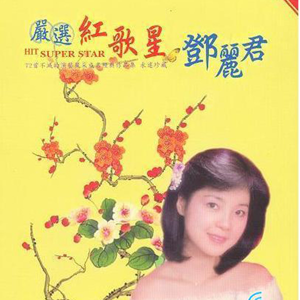 邓丽君歌曲:留不住你的心歌词