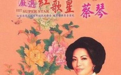 蔡琴歌曲:不了情歌词