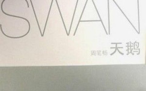 周笔畅歌曲:天鹅歌词